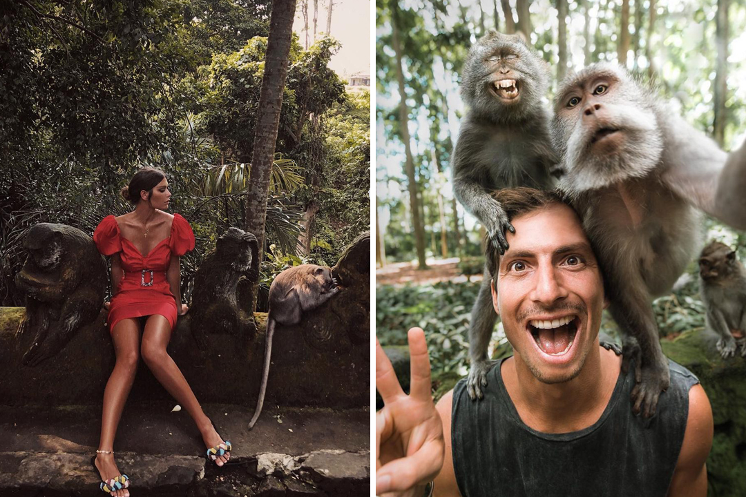 Wisata Monkey Forest Ubud Instagramable Lokasi Ikonik